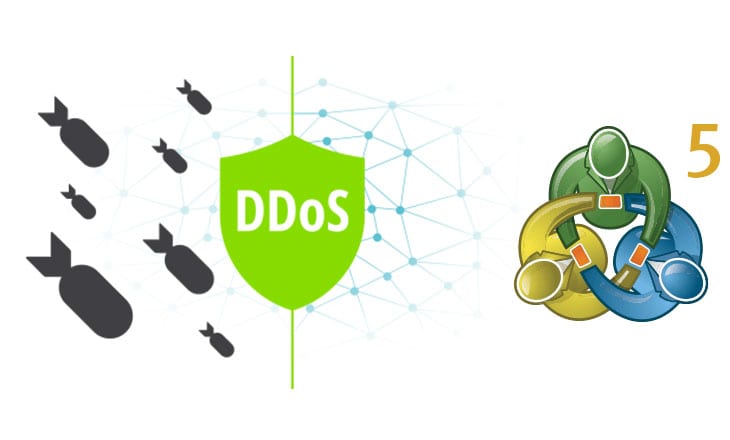 DDoS Protection